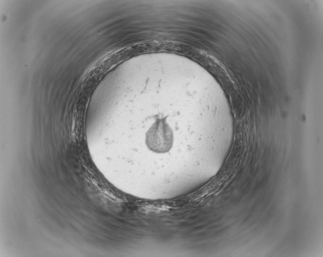 X0000085830919200704091654