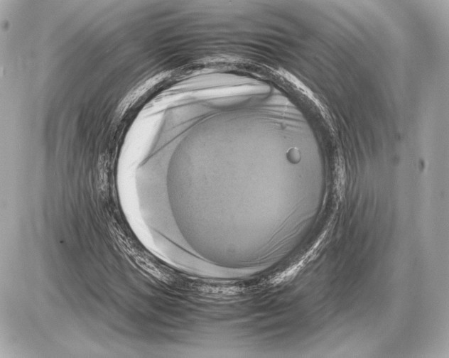 X0000085830921200704091654