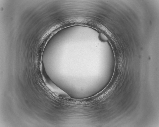 X0000085830922200704091654