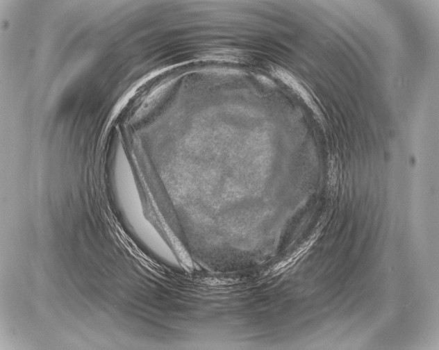 X0000085830923200704091654