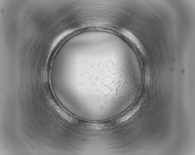 X0000085830924200704091654