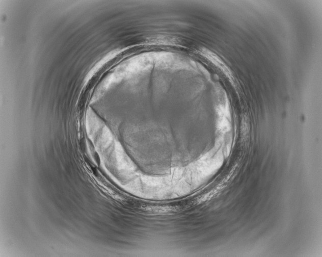 X0000085830925200704091654