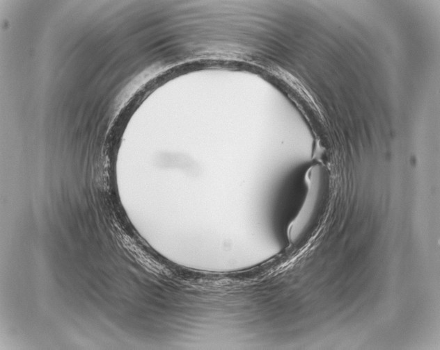 X0000085830926200704091654