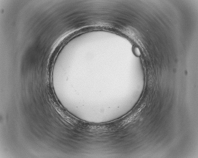 X0000085830927200704091654