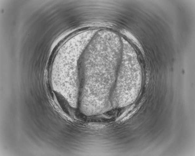 X0000085830928200704091654