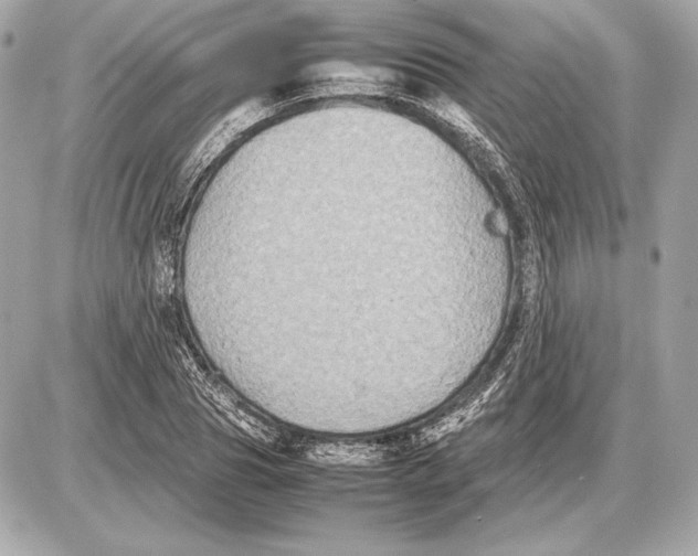 X0000085830929200704091654