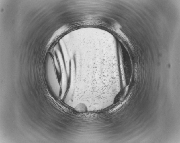 X0000085830930200704091654