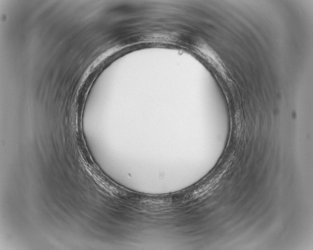 X0000085830931200704091654