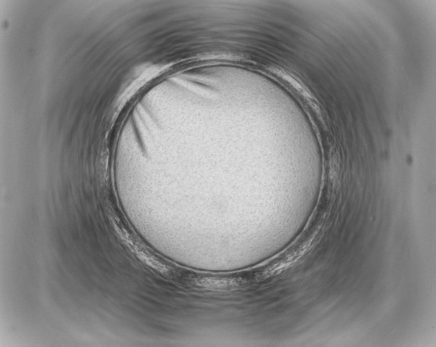 X0000085830933200704091654