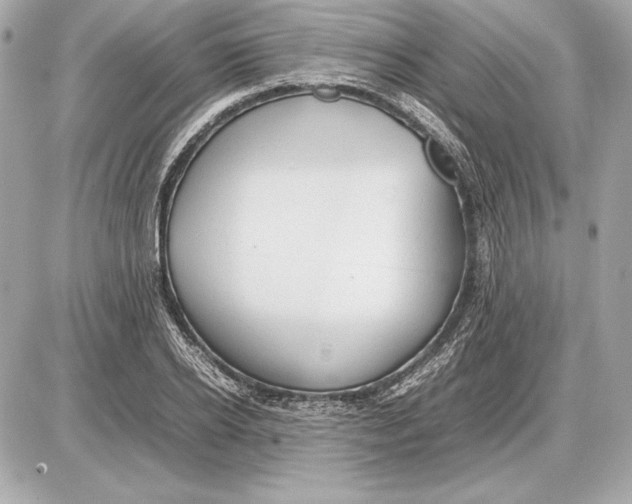 X0000085830934200704091654