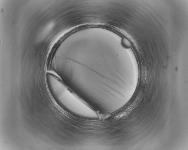 X0000085830935200704091654