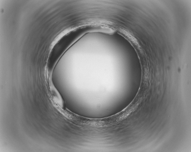 X0000085830936200704091654