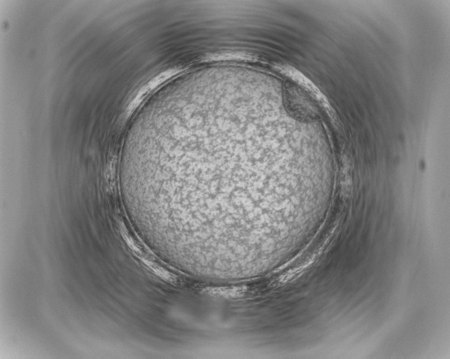 X0000085830937200704091654