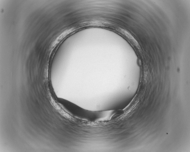 X0000085830938200704091654