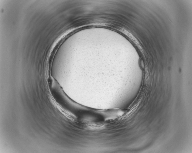 X0000085830939200704091654