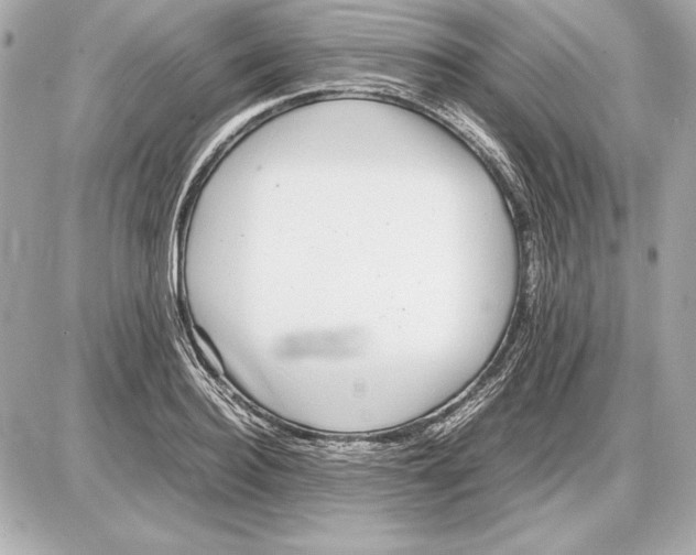 X0000085830940200704091654