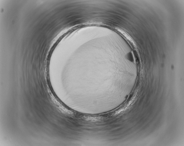 X0000085830941200704091654