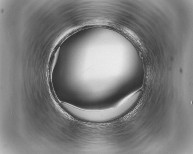 X0000085830942200704091654