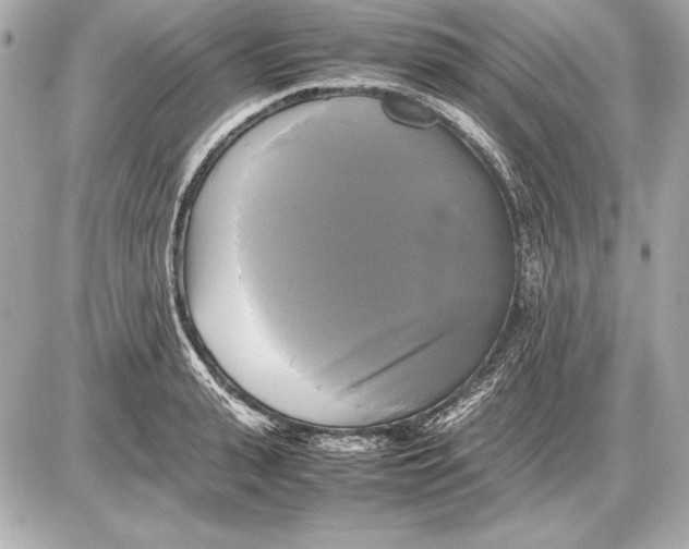 X0000085830943200704091654