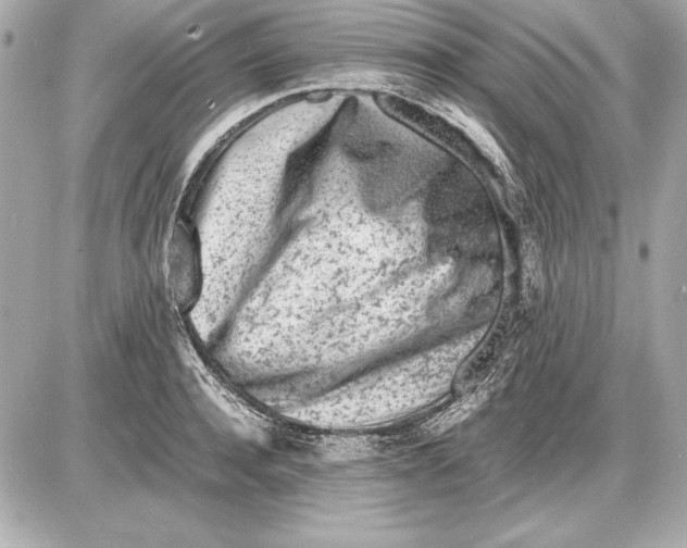 X0000085830944200704091654