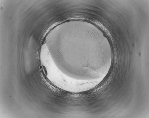 X0000085830945200704091654