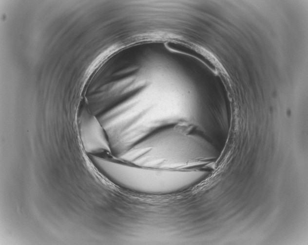 X0000085830946200704091654