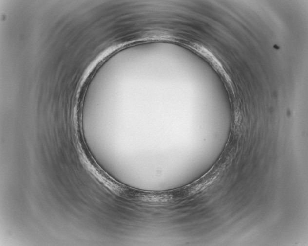 X0000085830947200704091654