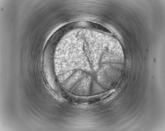 X0000085830948200704091654