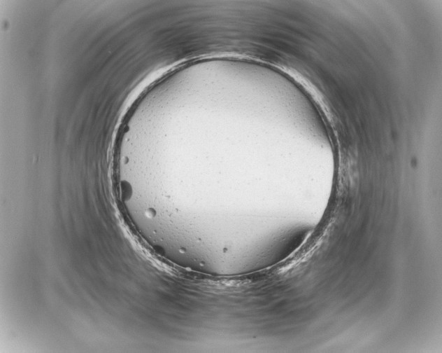 X0000085830949200704091654