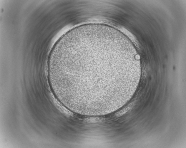 X0000085830950200704091654