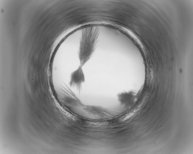 X0000085830951200704091654