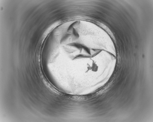 X0000085830954200704091654