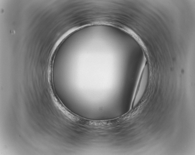 X0000085830955200704091654