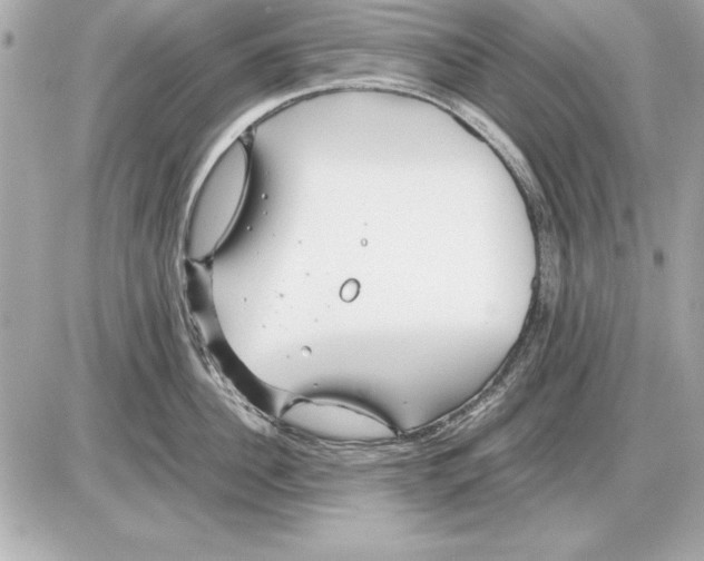 X0000085830956200704091654