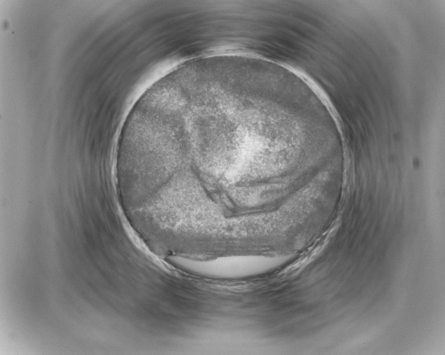 X0000085830957200704091654