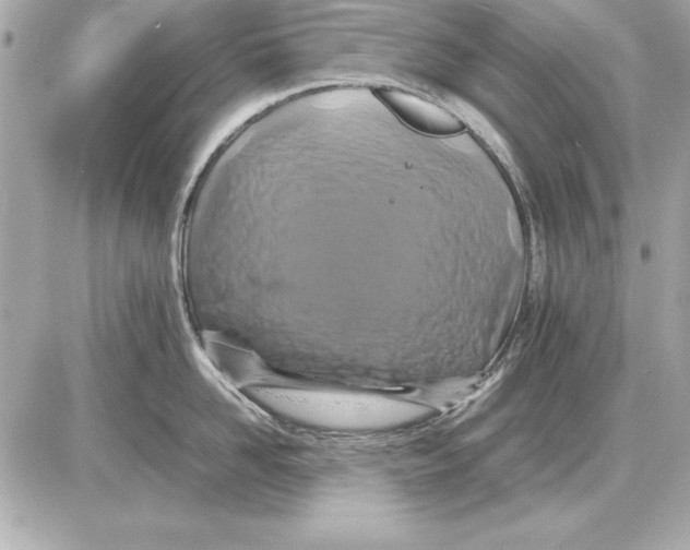 X0000085830958200704091654