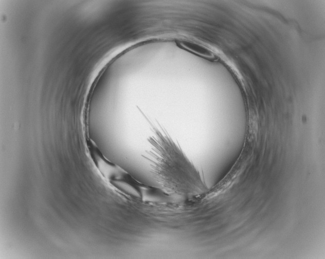 X0000085830959200704091654