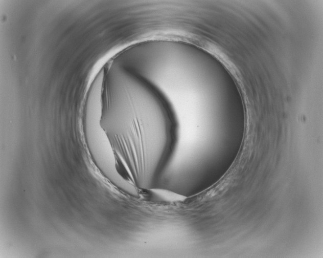 X0000085830960200704091654