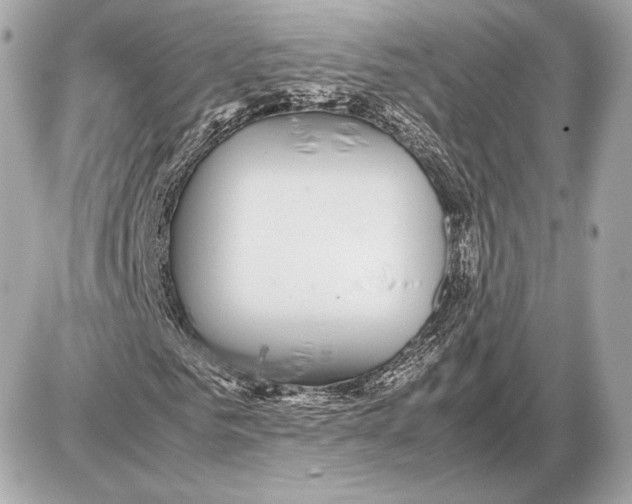 X0000085830961200704091654