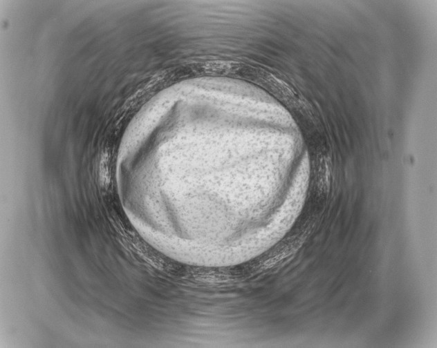 X0000085830962200704091654