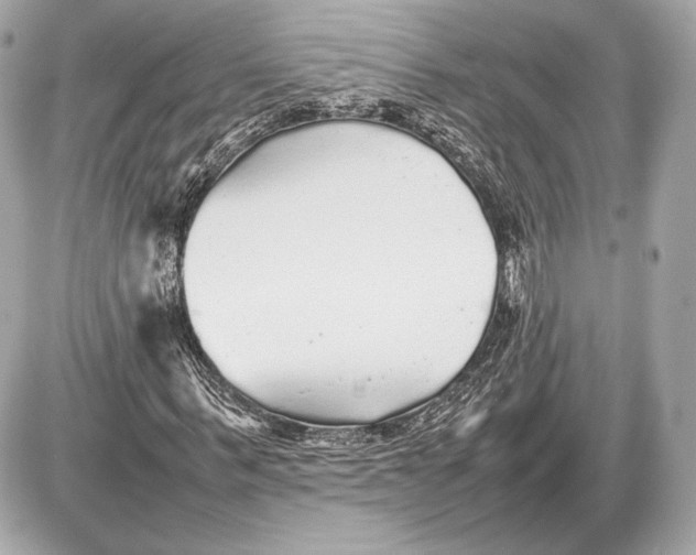 X0000085830963200704091654