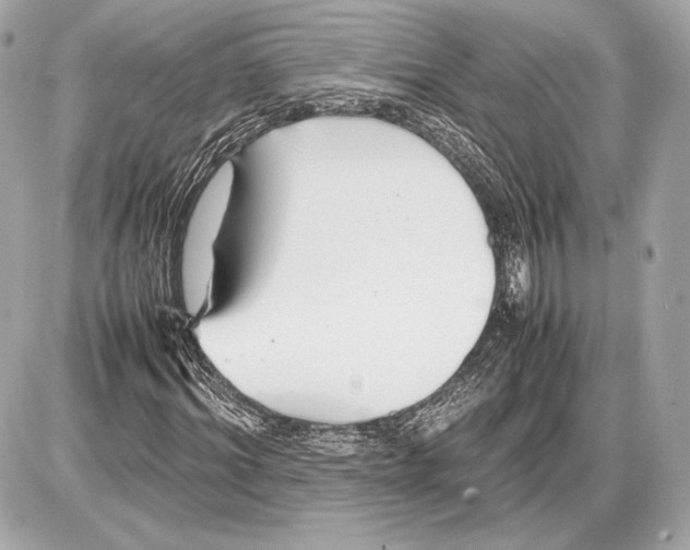 X0000085830964200704091654