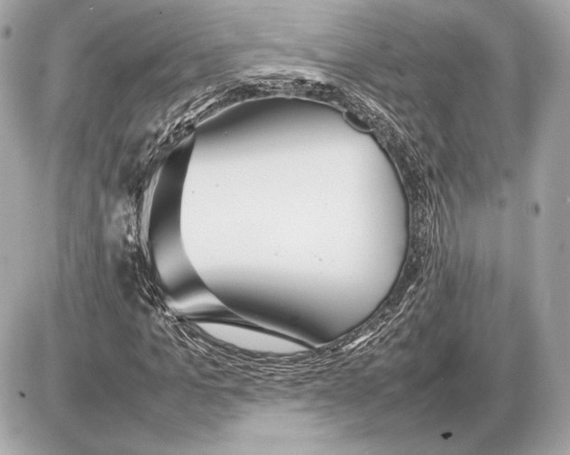 X0000085830965200704091654