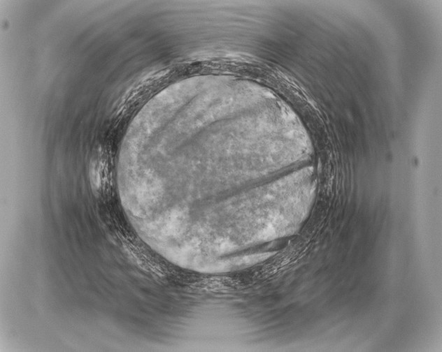 X0000085830966200704091654