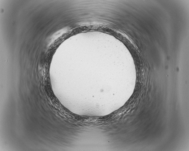 X0000085830967200704091654