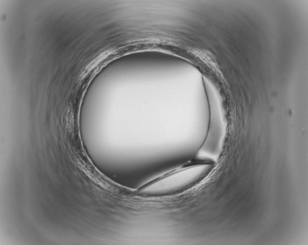 X0000085830969200704091654