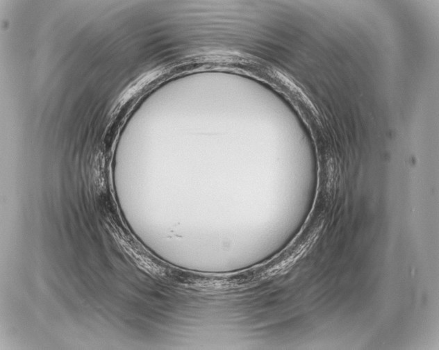 X0000085830970200704091653