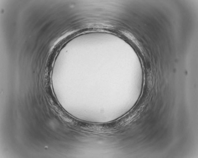 X0000085830971200704091653