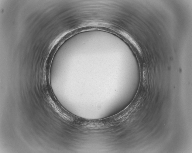 X0000085830972200704091653