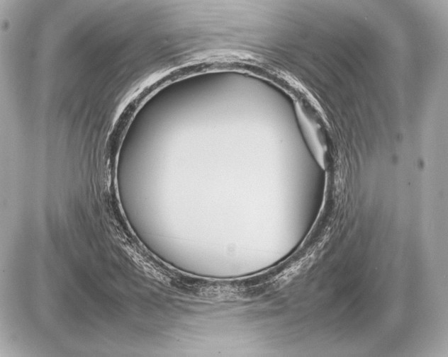 X0000085830973200704091653